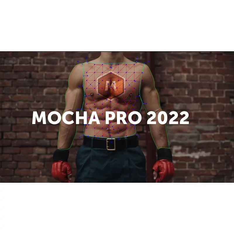 Mocha Pro für Avid – Bild 3